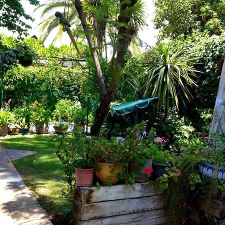 Casa Muriel サンティアゴ エクステリア 写真