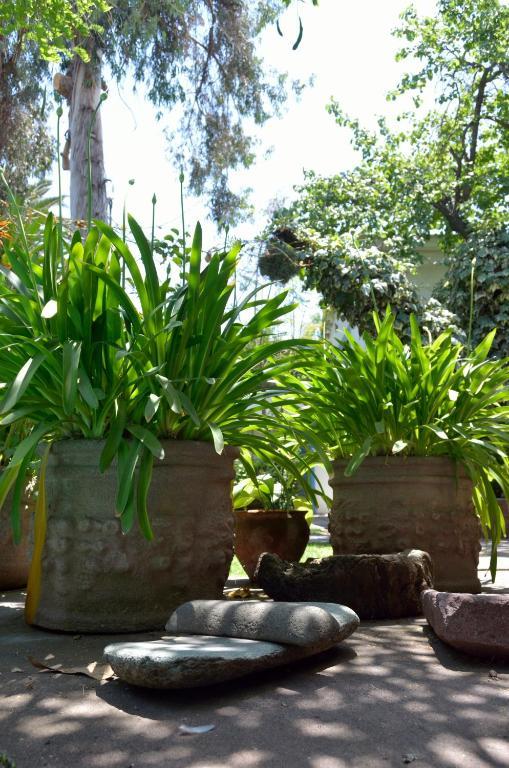 Casa Muriel サンティアゴ エクステリア 写真